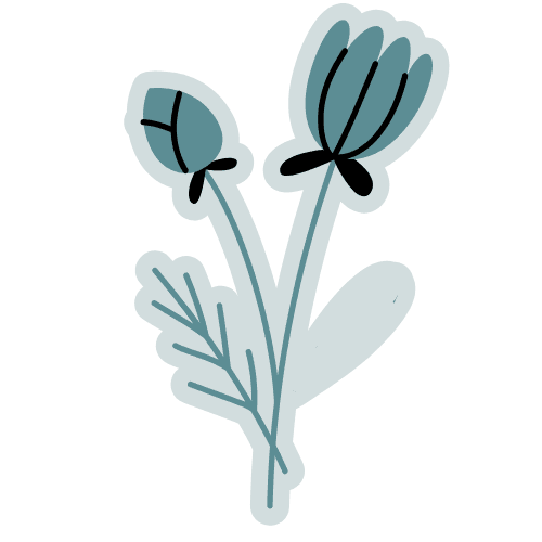 Illustration of a herbal bouquet with lavender, mint, and rosemary.